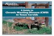 A Guide to Chronic Wasting Disease (CWD) in Texas … Guide to Chronic Wasting Disease (CWD) in Texas Cervids EWF-031 ... mule deer, white-tailed deer, elk, and ... Cervid populations