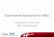 Government Assistance for SMEs - CPA Australia · Government Assistance for SMEs ... each financial quarter ... Human resource and Financial management Each voucher is worth $5k
