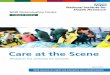 Care at the Scene - The NIHR Dissemination Centre, … at the...Care at the Scene Research for ambulance services NIHR research on urgent and emergency care outside hospital NIHR Dissemination
