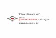 The Best of The Process Ninjaninja.typepad.com/files/the-best-of-the-process-ninja … ·  · 2012-06-25The Best of The Process Ninja 2008 ... I started The Process Ninja blog on
