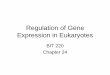 Regulation of Gene Expression in Eukaryotesfaculty.mc3.edu/lrehfuss/bit220/ch24.pdf• In eukaryotes, more level of regulation ... proteins for eukaryotic gene expression • Basal