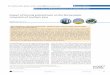 Impact of thermal pretreatment on the fast pyrolysis ... Articles/Impact of thermal... · chemical processes include a wide range of technologies ... addressed by pretreatment processes