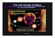 The Life Cycles of Stars - Imagine the Universe! · • 10 Km across Black Hole ... gas around Neutron Star/Black Hole. ... and other materials on the Life Cycles of Stars, 