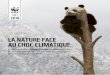LA NATURE FACE AU CHOC CLIMATIQUE réchauffement atteignant les 4,5 C conduit à ce que près de 50 % des espèces qui peuplent actuellement les Ecorégions Prioritaires soient menacées