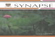 SYNAPSE - HKCP · 24 EXAMINATIONS AND RESULTS 26 YOUNG FELLOW'S COLUMN ... our Specialty and Basic Physician Boards, ... an article in this Issue of Synapse on what he and his