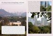Hong Kong is intensely urbanized The Urban Forest of Hong ... · The Urban Forest of Hong Kong: A Pictorial Story and photos by Jeff Shimonski, ... (Melaleuca quinquenervia) is a