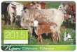 Kalender 2015 - Nguni cattle 2015.pdfCalendar 2015 Nguni NGUNI Beestelersgenootskap “The breed from the past for the future” Cattle Breeders' Society Kalender