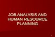 JOB ANALYSIS AND HUMAN RESOURCE PLANNINGpersonal.kent.edu/~mhogue/HRM4.ppt · PPT file · Web view · 2005-01-18JOB ANALYSIS AND HUMAN RESOURCE PLANNING Job Analysis: A Basic Human