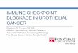 IMMUNE CHECKPOINT BLOCKADE IN … CHECKPOINT BLOCKADE IN UROTHELIAL CANCER Elizabeth R. Plimack MD MS Director, Genitourinary Clinical Research Associate Professor, Hematology/Oncology