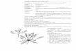 Lepidium naufragorum Garn.-Jones et D.A.Norton … naufragorum Garn.-Jones et D.A.Norton Family: ... What is the impact of Albugo candida on L. ... sexual reproduction