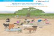 Multiple Use Services (MUS) of Water in WaterAid West … report - english... · Multiple Use Services (MUS) of Water in WaterAid West Africa Understanding the practices, exploring