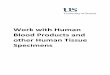 Work with Human Blood Products and other Human …€¦ · Work with Human Blood Products and other Human Tissue ... emergency eye-wash, ...  