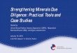 Strengthening Minerals Due Diligence: Practical Tools and ... · Case Studies Hosted by ... TWG Associate and Local Advisory Committee ... – Tea: Ethical Tea Cooperative – Fish: