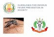 GUIDELINES FOR DENGUE FEVER PREVENTION IN … FOR DENGUE FEVER PREVENTION IN ... Early diagnosis and treatment of cases. Integrated vector control and inter-sectoral