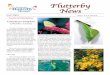 Flutterby News Summer 2009-1 - Panhandle Butterfly … Groninger, Senior Laboratory ... She gives her time and talent to the Panhandle Butterfly House gardens. ... Flutterby News Summer