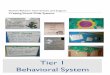 Tier 1 Behavioral System - Child Study System Behavior Interventions and Support . Creating School-Wide Systems . Tier 1 . Behavioral System