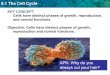 KEY CONCEPT Cells have distinct phases of growth ... Cells have distinct phases of growth, reproduction and normal functions. APK: Why do you always cut your hair? 5.1 The Cell Cycle