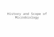 [PPT]History and Scope of Microbiology - Anoka-Hennepin … · Web viewOrganisms included in the study of Microbiology 1. Bacteria Bacteriology 2. Protozoans Protozoology 3. Algae