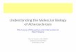 Understanding the of Atherosclerosis - lipid.org · Understanding the Molecular Biology of Atherosclerosis The Future of Prevention and Intervention in Heart disease Paul N. Hopkins,