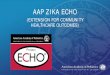 AAP ZIKA ECHO Zika ECHO_Congenital... · V IRUS D ISEASE * (J ... – Microcephaly can occur as a result ... Galang RR, et al. Pregnancy Outcomes After Maternal Zika Virus Infection