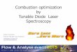 Combustion optimization by Tunable Diode Laser …€¦ · Combustion optimization by Tunable Diode Laser Spectroscopy ... vortex flowmeter ... Foster Wheeler • Fuels