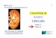 CHAPTER 20 Lecture - lawrenceGaltman.com 212 Lectures...CHAPTER 20 Lecture: URINARY Part 1 Part 2 . 2 ... tuft&of&capillaries&fed&by&aﬀerent&arteriole& && && ... 15 NEPHRONFUNCTIONS: