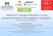 Wellbore Leakage Mitigation Using Advanced Mineral ... Library/Events/2017/carbon-storage... · Wellbore Leakage Mitigation Using Advanced Mineral Precipitation Strategies ... •