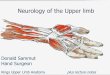 Neurology of the Upper limb - donaldsammut.com · Neurology of the Upper limb ... The$inﬁltration$must$NOT$be$into$the$nerve$substance$–$this$causes$direct$nerve$damage.$ 