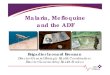 Malaria, Mefloquine and the ADF - Department of … and...Malaria, Mefloquine and the ADF ... Anti-malarials . Post 80s • Pre-90s – Chloroquine, Maloprim Fansidar • Wide spread