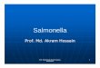 Salmonella by akram.ppt - mmc.gov.bd file/Salmonella by akram.pdffrom faeces of Hog cholera in 1885.. ... Clinical infections caused by salmonella varies with different species or