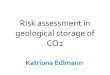 Risk assessment in geological storage of CO2 storage risks The subsurface ... 3 Fracture density Detailed fracture mapping of caprock from seismic, downhole and analogues