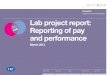 Click here to view functionality Lab project report ... · Lab project report: Reporting of pay and performance March 2013 Navigation Click here to view functionality Background Summary