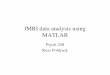 fMRI data analysis using MATLAB - University of Cagliaripeople.unica.it/lbarberini/files/2014/09/fmri-analysis-matlab... · •SPM provides functions for reading ANALYZE and MINC
