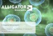 Company presentation - Alligator Bioscience · global pharmaceutical market ... immunotherapy DC and T-cell assays used for ... Source: Mangsbo et al 2015, Clinical Cancer Research