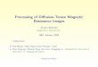 Processing of Diﬀusion-Tensor Magnetic … of Diﬀusion-Tensor Magnetic Resonance Images ... IMA January 2005 Collaborators: • Peter Basser, Sinisa Pajevic,Carlo ... Lazar et