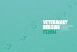 VETERINARY NURSING - CAFRE · Veterinary Nursing Veterinary Nursing 136 137 The campus has a laboratory equipped with laboratory analysers, refractometers, microscopes, centrifuges