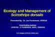 Ecology and Management of Scirtothrips dorsalismrec.ifas.ufl.edu/LSO/DOCUMENTS/Management S dorsalis.pdf · Ecology and Management of Scirtothrips dorsalis ... Parthenogenesis common