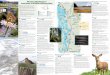 Western Washington Interstate 5 Wildlife Viewing Mapwdfw.wa.gov/publications/00980/wdfw00980.pdfWestern Washington Interstate 5 Wildlife Viewing Map 1 Semiahmoo Park and Museum Habitat:
