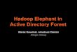 Active Directory Forest Hadoop Elephant in · Hadoop Elephant in Active Directory Forest ... Allegro Hadoop cluster in numbers ... Auto-deployment and autoconfiguration of Hadoop
