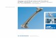 Clamp and Rod Internal Fixation - DePuy · Clamp and Rod Internal Fixation ... the AO formulated four basic principles for internal fixation, ... AO Principles of Fracture Management