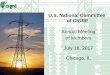 Annual Meeting of Members Chicago, IL meeting, Chicago – Sheraton Hotel, 18th July 2017 7 Governing Bodies meetings Steering Committee: meeting Dublin – 29/05 & 30/05, 2017 Main