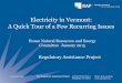 Electricity in Vermont: A Quick Tour of a Few Recurring … in Vermont: A Quick Tour of a Few Recurring Issues Regulatory Assistance Project House Natural Resources and Energy Committee