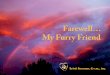 Farewell… My Furry Friend - Kristi Freeman · 2 Farewell My Furry Friend ... Book Design by Vinnie Freeman Graphic Design Cover Photo by Vinnie ... trailing your bathrobe tie with