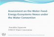 Assessment on the Water-Food- Energy-Ecosystems Nexus ... Nexus-assessment_Lipponen_N… · The social dimension ... provisioning and water, energy and food securities ... Assessment