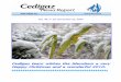 Cedigaz team wishes the Members a very Happy … Christmas and a wonderful 2010. ... Tenders have been issued to select engineering firms for the Pre-FEED engineering ... scope of