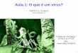 Aula 1: O que é um vírus? - ufrgs.br da flor Tulip breaking virus (TBV) 11 • HSV‐1, HSV‐2, VZV, EBV, HCMV, HHV‐6, HHV‐7, HHV‐8 • Permanecem no organismo por toda a