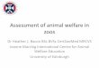 Assessment of animal welfare in zoos - University of … of animal... · Assessment of animal welfare in zoos Dr Heather J. Bacon BSc BVSc CertZooMed MRCVS Jeanne Marchig International