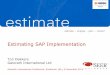 Estimating SAP Implementation - Cost Estimation …€¦ ·  · 2011-12-15Estimating SAP Implementation ... Minimal Time vs Optimal Effort ... Application Maintenance & Support 