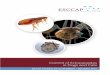 ESCCAP guidelines Final ·  · 2017-05-26ESCCAP Guideline 3 Control of Ectoparasites in Dogs and Cats Published: December 2015 TABLE OF CONTENTS INTRODUCTION 