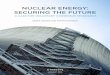 Nuclear Energy: Securing the Future - The Stimson Center  energy: securing the future a case for voluntary consensus standards january 2016 debra decker and kathryn rauhut